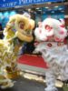 醒獅表演「遍地黃金」儀式祝賀利嘉閣兩間分行大展鴻圖